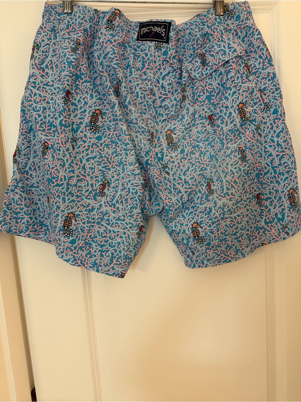 Michaels Pink and Blue Coral-Print Swim Shorts